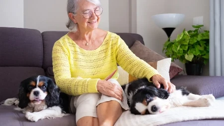 Većina vlasnika čupavih ljubimaca greši - nećete verovati koliko vaš pas ima godina 