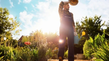 PAKLENO LETO KUCA NA VRATA Naučnici upozoravaju da će 2026-e biti gore nego ikad