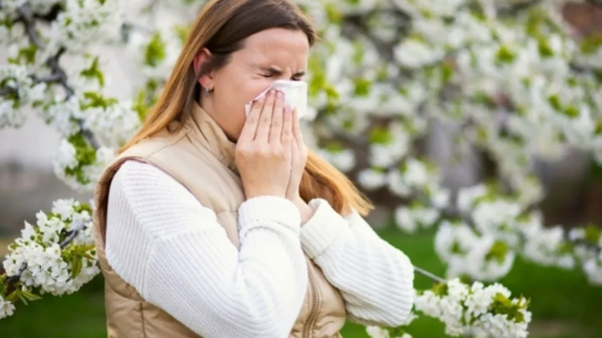 Alergija na polen sve više muči građane: Farmaceut otkriva koja terapija najbrže ublažava kijanje, zapušen nos i suzne oči