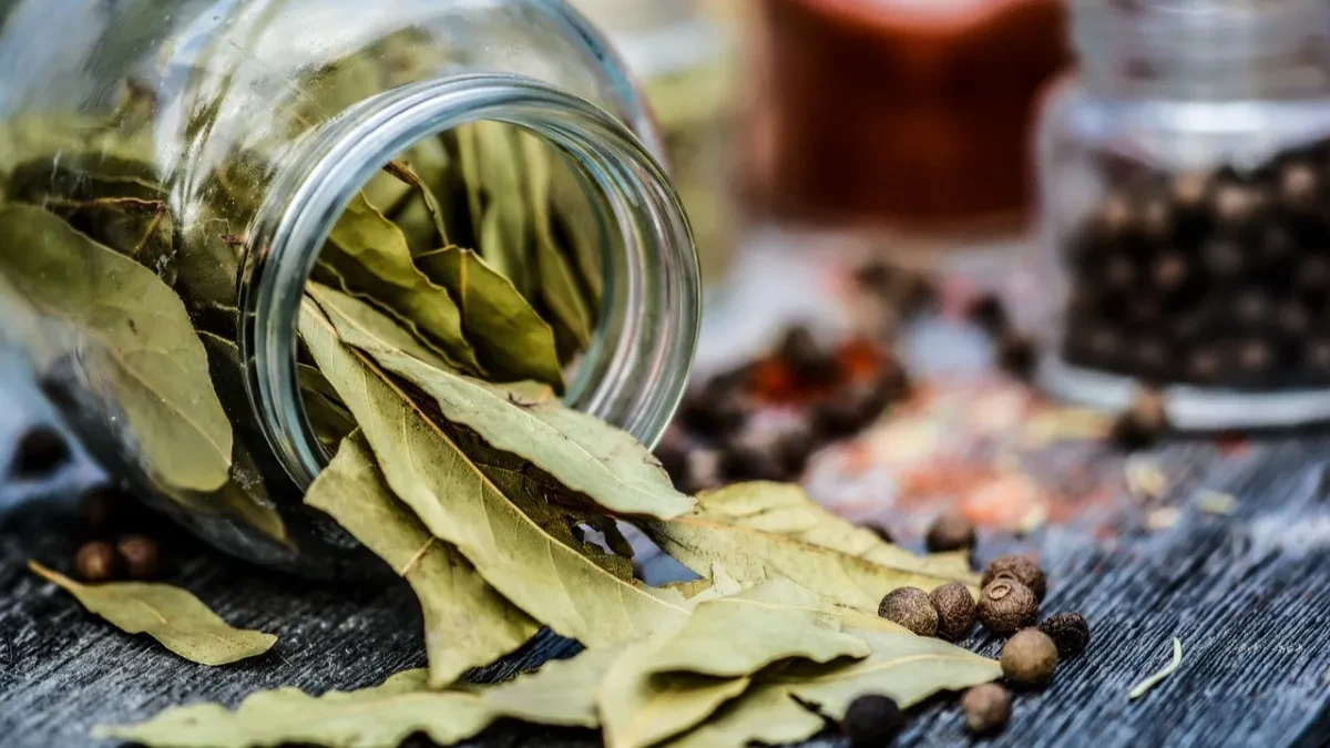 Spas za vašu baštu: Lovorov list će preporoditi cveće, a tek šta će uraditi sa paradajzom i paprikama!