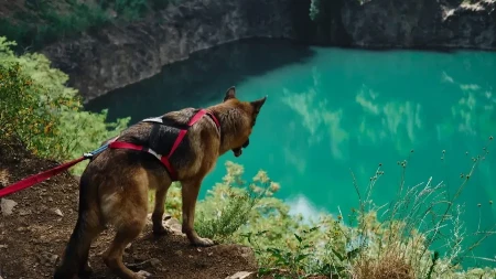 16 skrivenih bisera Fruške gore: Ne zna se koje jezero je lepše, boja nadrealna, a sva su blizu Beograda (FOTO)