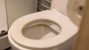 Svi stavljaju so u WC šolju pred spavanje: Kad vidite zbog čega, večeras ćete uraditi isto