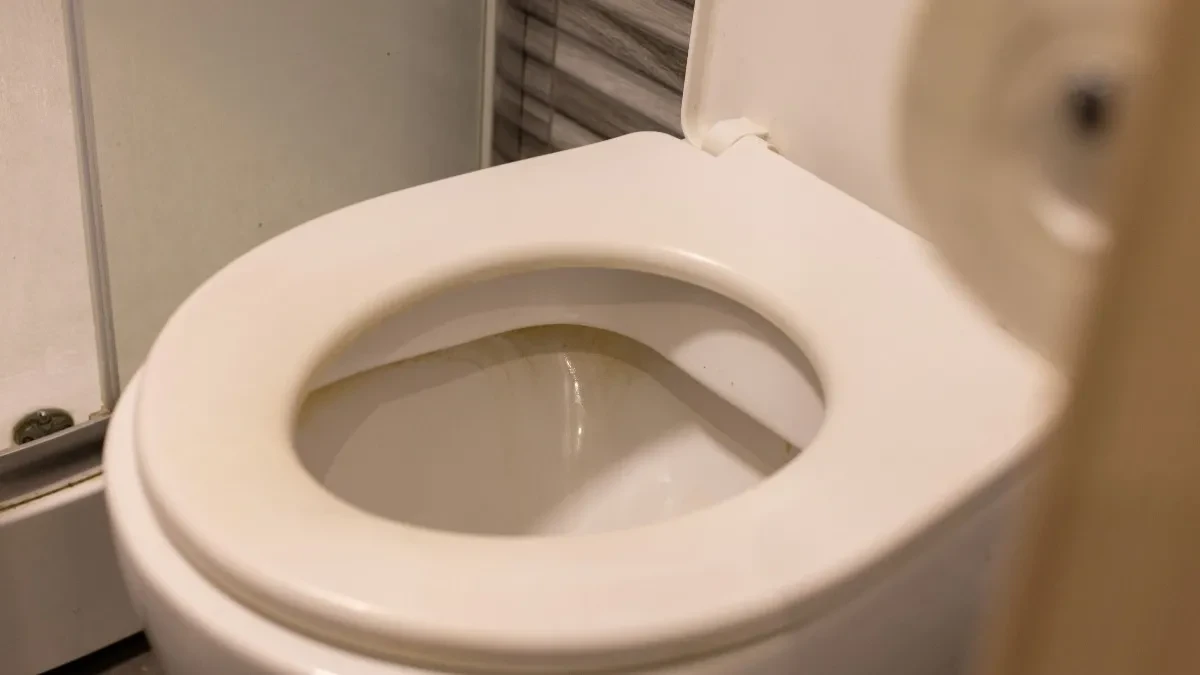 Svi stavljaju so u WC šolju pred spavanje: Kad vidite zbog čega, večeras ćete uraditi isto