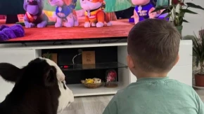 DIRLJIVA PRIČA IZ CRNE GORE: Porodica Garović USVOJILA TELE – ceo region oduševljen!