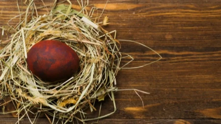 Šta uraditi sa čuvarkućom od prošle godine? Ova greška može doneti nesreću umesto zdravlja