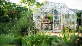 7 biljaka koje treba posaditi u aprilu: Raskošna bašta za 10 nedelja, cveće brzo raste i jednostavno je za održavanje