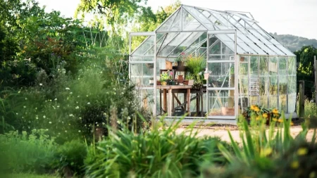 7 biljaka koje treba posaditi u aprilu: Raskošna bašta za 10 nedelja, cveće brzo raste i jednostavno je za održavanje