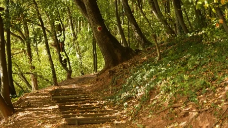 Niče turistički raj u Srbiji - na sat vremena od Beograda, zona za lukzuz i odmor