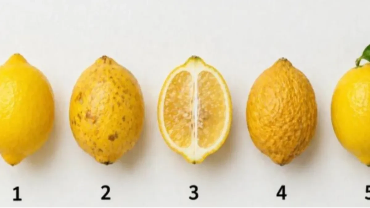Hit test zaludeo ljude na nrežama Izaberite najprivlačniji limun - otkrijte šta vam zagorčava život