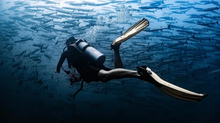 TINEJDŽER ZARONIO I IZVUKAO ČUDOVIŠTE IZ DUBINE: Ono što je našao šokiralo sve! (VIDEO)