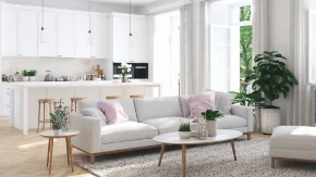 DOMAĆICE SE KUNU U 1 TRIK Kažu da im dom bude čistiji za samo par sekundi, lakše od ovoga nema