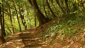 Niče turistički raj u Srbiji - na sat vremena od Beograda, zona za luksuz i odmor