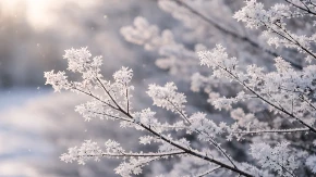 ŠOK PROGNOZA, SUTRA ĆE DA MRZNE Oglasio se RHMZ, evo šta će biti sa vremenom u celoj Srbiji narednih dana