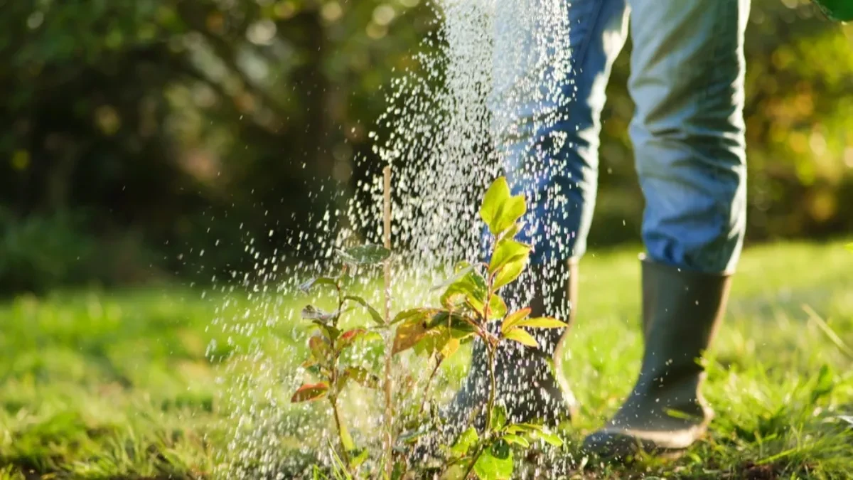 SRPSKO "PLAVO ZLATO"! Do 8 evra po kilogramu, a potražnja raste!