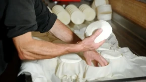 Kardiolog upozorava: Ova vrsta sira može da naškodi srcu - povećava rizik od moždanog udara