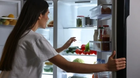 POSTAVILA KAMERU ZBOG KRAĐE HRANE: Kad je videla ko otvara frižider, umalo se onesvestila od šoka! (VIDEO)