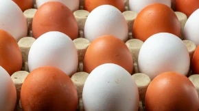 RAZOTKRIVENA ISTINA: Evo koja jaja su zaista kvalitetnija - smeđa ili bela!