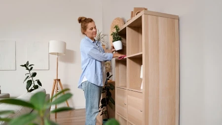 NAVIKA KOJA MENJA SVE Za urednu kuću potreban vam je samo JEDAN MINUT