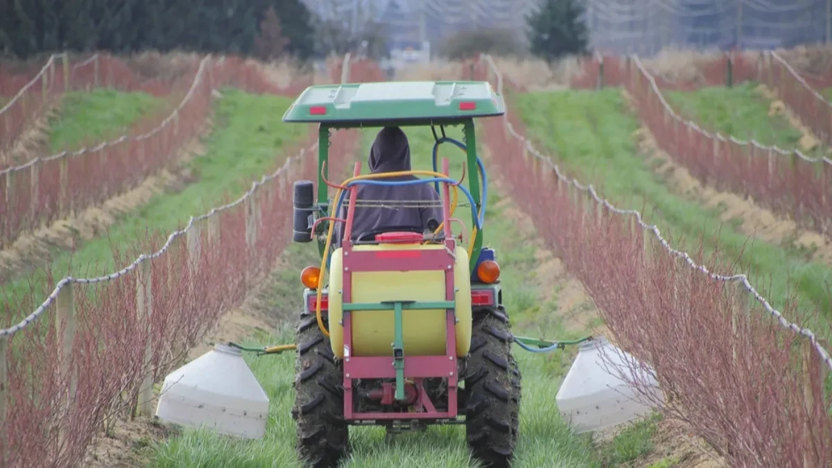 Dodeljeni ugovori za podršku u oblasti zaštite bilja vredni 199 miliona dinara