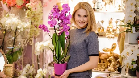 Orhideje će cvetati bez prestanka! Cvećar otkrio trik od kojeg bujaju kao lude