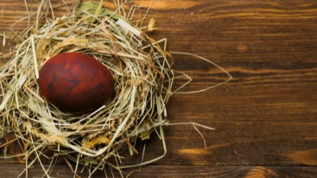Prvo jaje se čuva na posebnom mestu: Stari običaj za čuvarkuću koji porodici donosi sreću i blagostanje