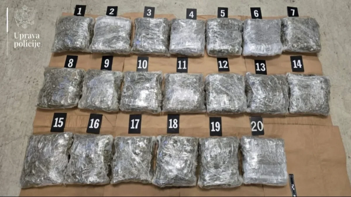 DILERI NA UDARU U CRNOJ GORI Više od 200 prijava, zaplenjeno 150 kg droge
