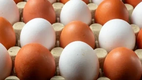 Koliko zapravo dugo smeju da se čuvaju sveža jaja u frižideru? Iznenadićete se