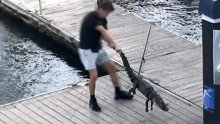 HOROR SCENA U SPORTSKOM CENTRU Dečak udarao aligatora – sve zabeležile kamere!