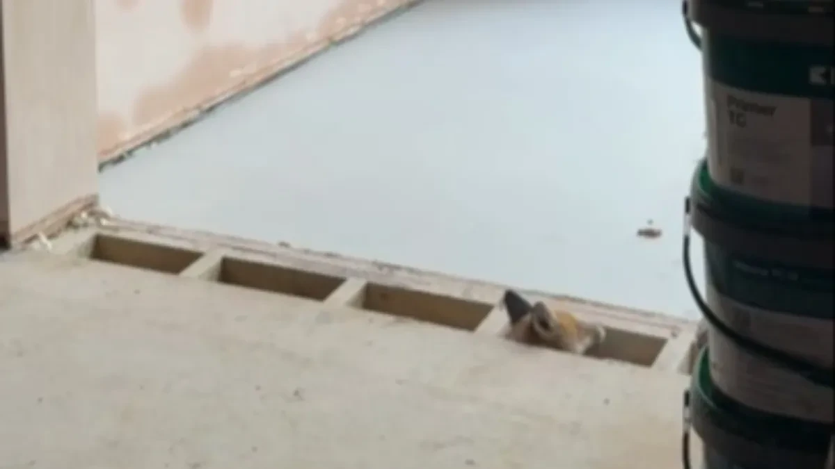 ČULA GREBANJE ISPOD PODA Kad je podigla daske, umalo se onesvestila od šoka!