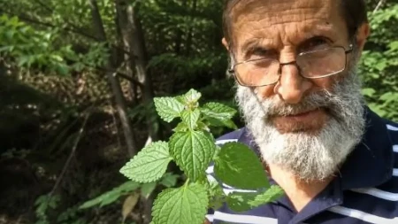 Zaboravljena biljka sa Stare planine: Jača organizam i vraća energiju - travar otkriva sve