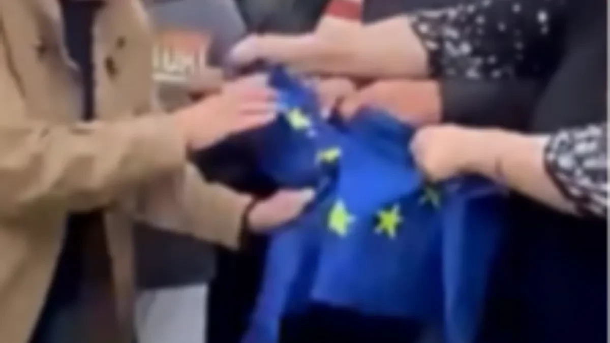 Poslanica Evropskog parlamenta pocepala zastavu EU: "Gazite našu zemlju!" (VIDEO)