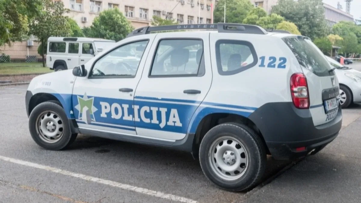 Kordinisana policijska akcija! Zaplenjeno više komada karabina, pištolja i municije