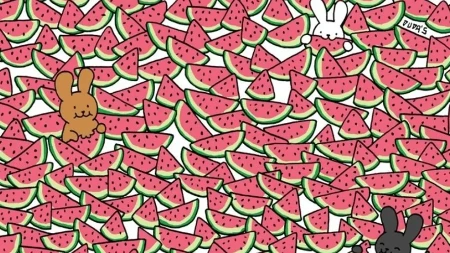 Internet poludeo zbog ove mozgalice: Možete li pronaći svih 5 "uljeza" među lubenicama?