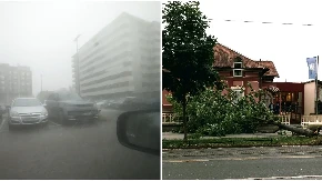 Nevreme poharalo Hrvatsku! U Zagrebu stabla pala na kolovoze, temperatura se spustila na 6 stepeni! (FOTO)