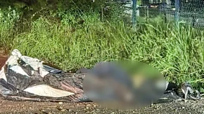 Migrant izrešetan sa sedam metaka: Novi detalji ubistva kod Obrenovca