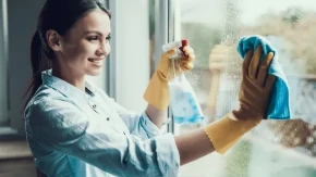 Zaboravite skupa sredstva za prozore: Jedan sastojak iz kuhinje briše polen i ostavlja staklo kao ogledalo!