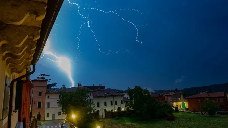 Svi prvo potrče ispod drveta da stanu, ali tamo ni u ludilu: Gde se sakriti od odara groma?