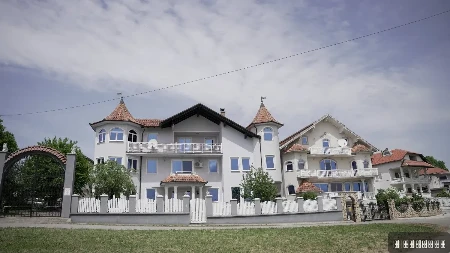 Fasade u zlatu i mermeru, po pet kupatila i 10 spavaćih soba: Selo Točka je najbogatije mesto u Srbiji - meštani otkrivaju kako se gastarbajteri ponašaju kad dođu na odmor 