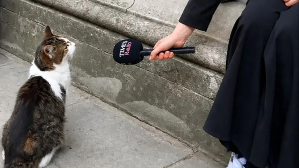 ''Nema komentar!'' Novinar prišao mačku iz Dauning strita sa mikrofonom, a ono što je usledilo nasmejalo milione