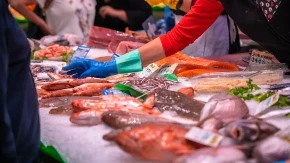 10 godina uče kuvare da je spreme: Otrovna riba viđena u CG moru