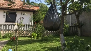 Kako da oterate stršljenove iz dvorišta: Trik sa plastičnom kesom