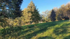 Da li je ovo najtraženija kuća u Srbiji? Oglas iz turističkoh raja zaludeo sve cenom