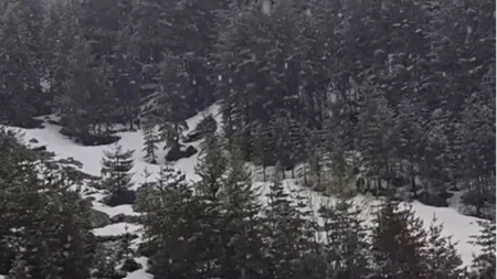 Pahulje veju kao da je januar! U ovom delu Srbije upravo pada sneg (VIDEO)