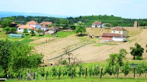 Srbija zarađuje milijardu i po evra samo od jedne grane, hrane ima dovoljno 