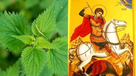 Veruje se da pre Đurđevdana obavezno ovu biljku morate uneti u kuću: Pripisuje joj se magijska moć - štiti dom od loše energije, bolesti i nesreće