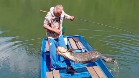 Milan pecao štuku, pa izvukao neman od skoro 2 metra: Ovakav ulov nije imao za 50 godina!