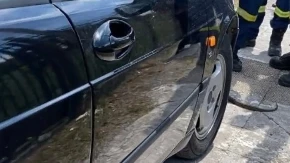Vozač otvorio haubu nasred puta i zanemeo: Ono što ga je gledalo iz motora ledi krv u žilama