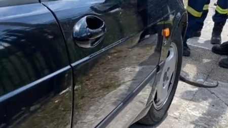 Vozač otvorio haubu nasred puta i zanemeo: Ono što ga je gledalo iz motora ledi krv u žilama