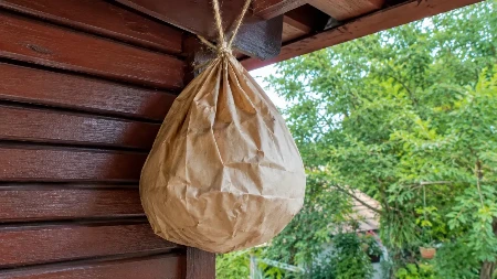 Okačite ovo na terasu i ose će bežati glavom bez obzira:  Genijalan trik koji rešava problem za 48h