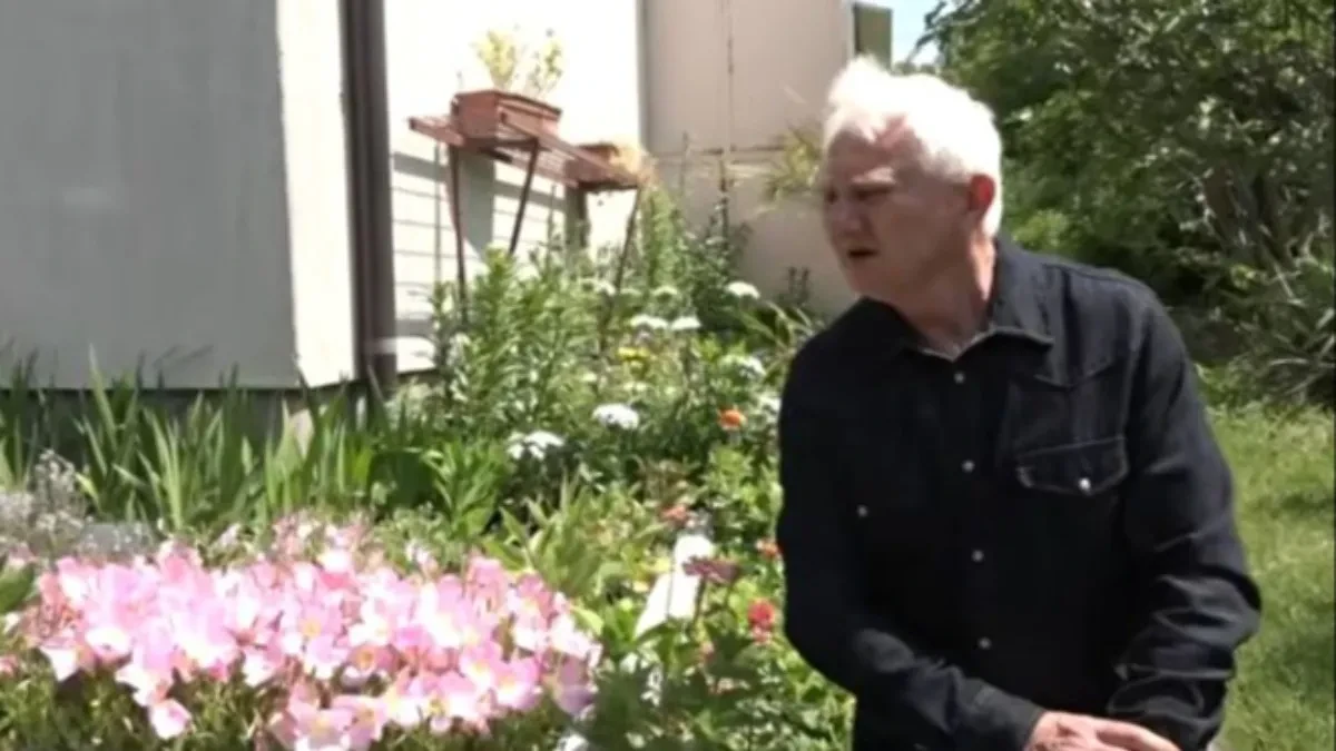 Zoran iz Bariča zakopao nekoliko semenki iz radoznalosti: Danas mu u dvorištu raste prava egzotika